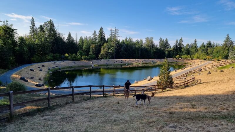 Dog Park - Issaquah, WA