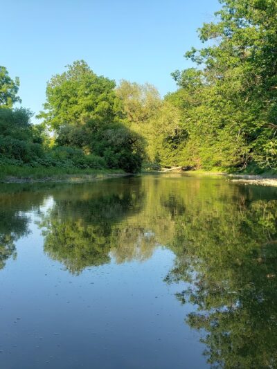 Campbell Meadows Natural Area - Ithaca, NY