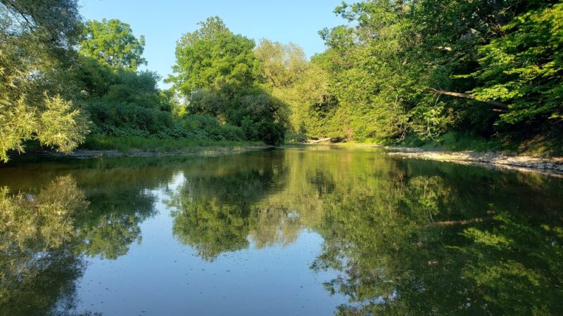 Campbell Meadows Natural Area - Ithaca, NY