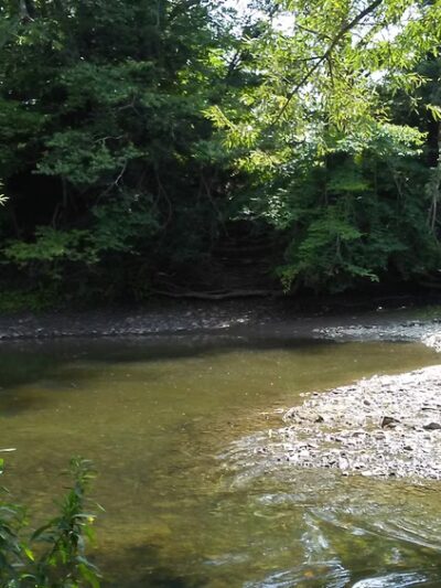 Campbell Meadows Natural Area - Ithaca, NY
