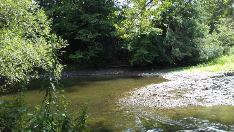 Campbell Meadows Natural Area - Ithaca, NY