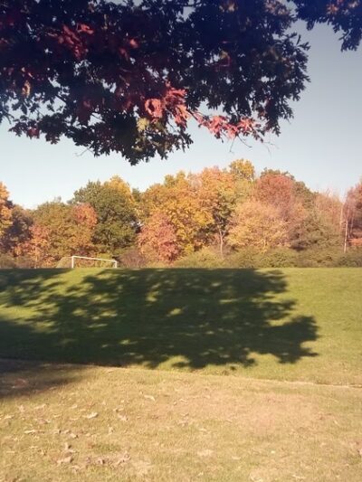 Philip R. Dankert Village Park - Ithaca, NY
