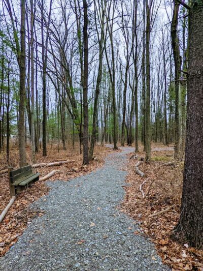 Salem Park - Ithaca, NY