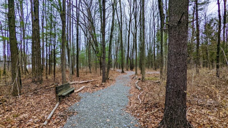 Salem Park - Ithaca, NY