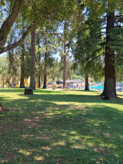 Detert Park - Jackson, CA