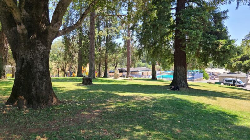 Detert Park - Jackson, CA