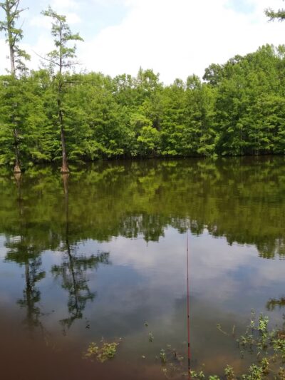 Presidential Hills Park - Jackson, MS