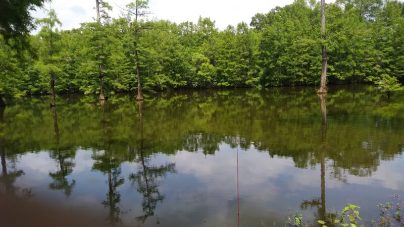 Presidential Hills Park - Jackson, MS