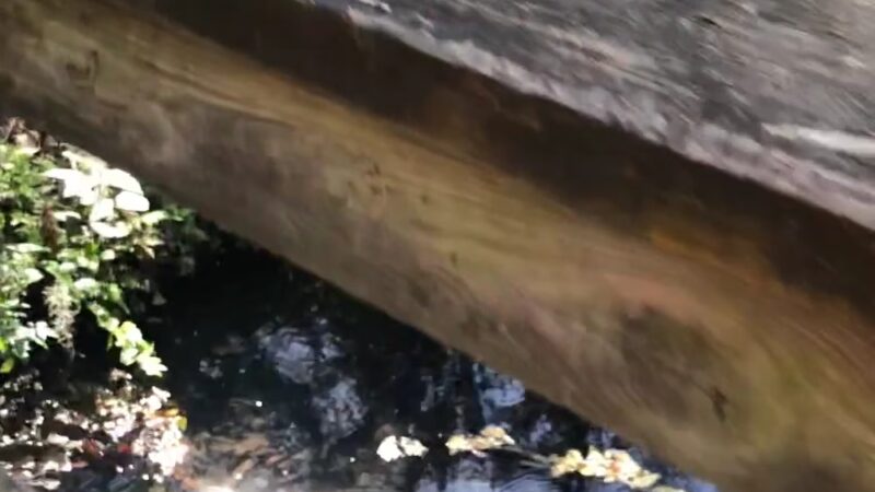 Abess Park - Jacksonville, FL
