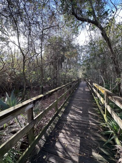 Abess Park - Jacksonville, FL