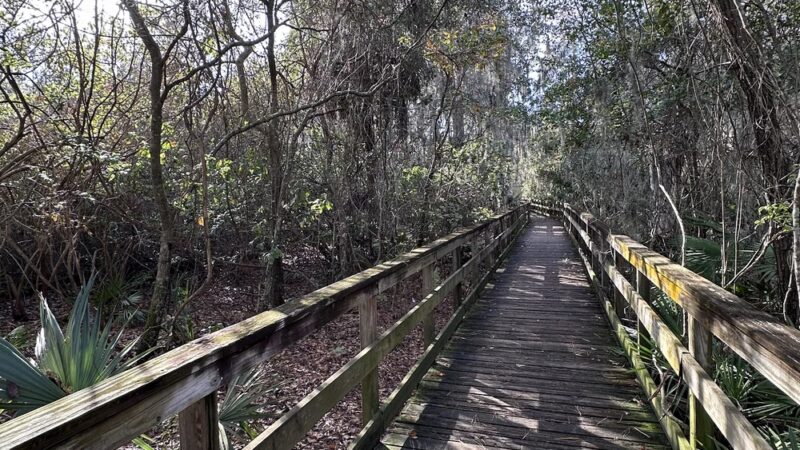 Abess Park - Jacksonville, FL