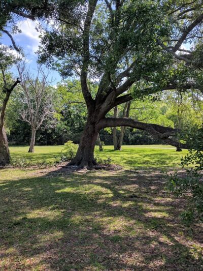 Alexandria Oaks Park - Jacksonville, FL