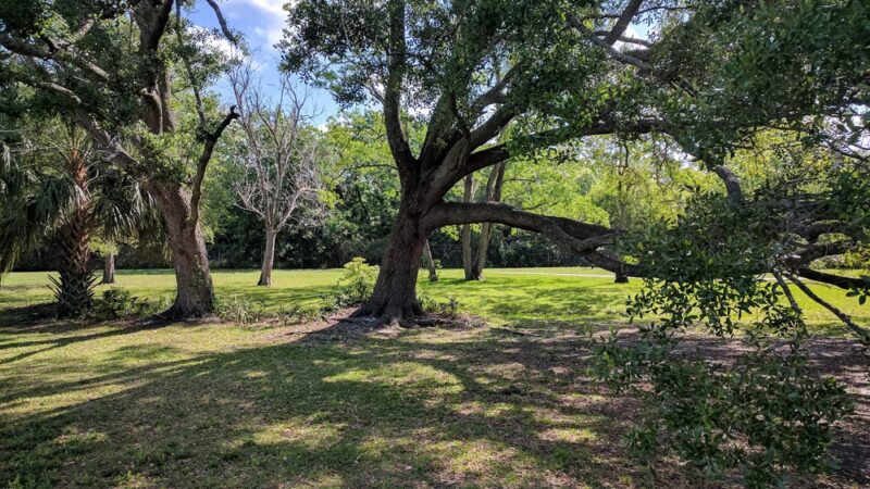Alexandria Oaks Park - Jacksonville, FL
