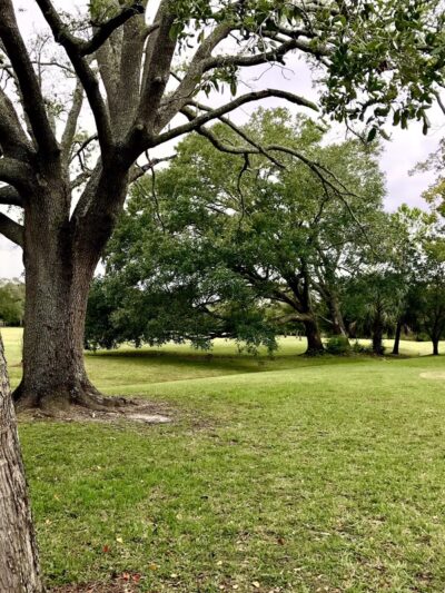 Alexandria Oaks Park - Jacksonville, FL