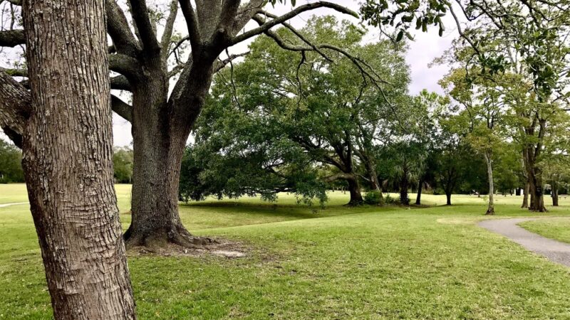 Alexandria Oaks Park - Jacksonville, FL