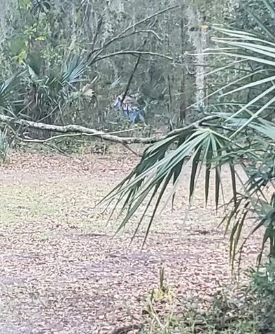 Archie Dickinson Park - Jacksonville, FL