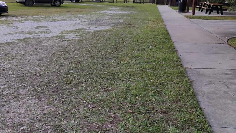 Baldwin Rail Trail: Trail Side Park - Jacksonville, FL