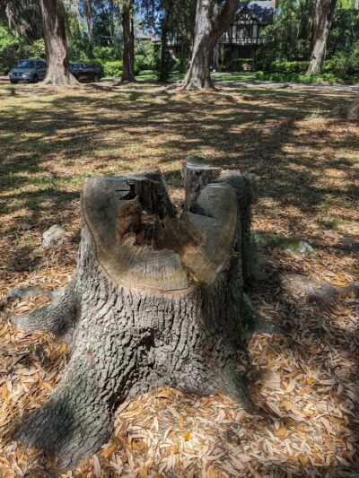 Bettes Park - Jacksonville, FL