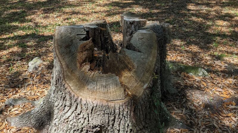 Bettes Park - Jacksonville, FL