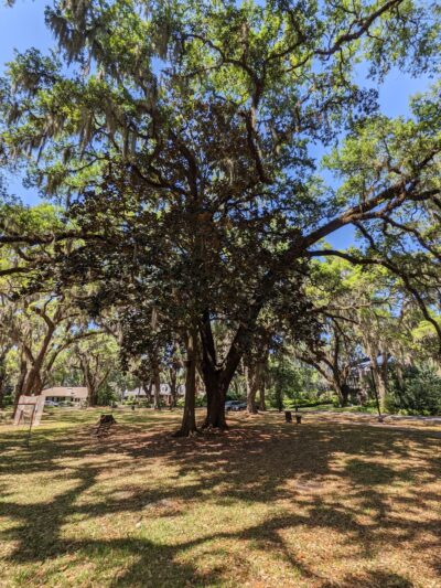 Bettes Park - Jacksonville, FL