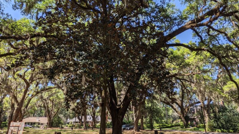 Bettes Park - Jacksonville, FL