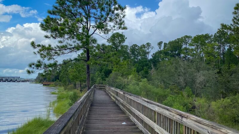 Blue Cypress Park - Jacksonville, FL
