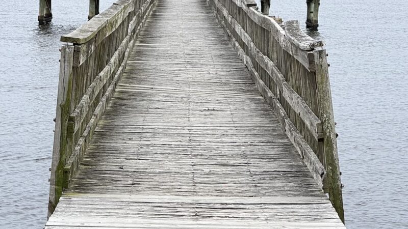Blue Cypress Park - Jacksonville, FL