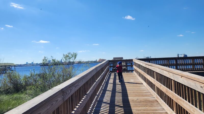 Blue Cypress Park - Jacksonville, FL