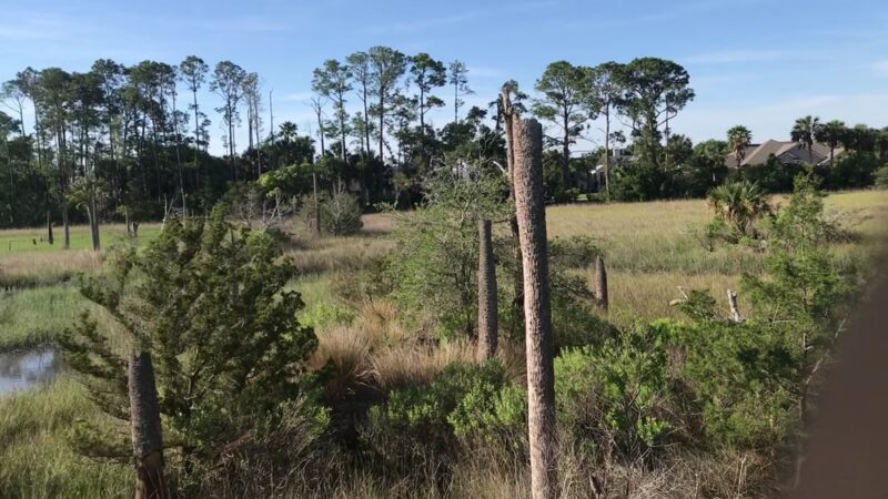 Castaway Island Preserve - Jacksonville, FL