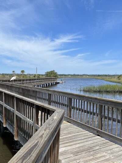 Castaway Island Preserve - Jacksonville, FL