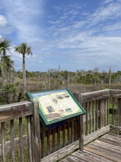 Castaway Island Preserve - Jacksonville, FL