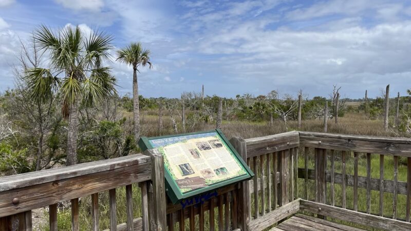 Castaway Island Preserve - Jacksonville, FL