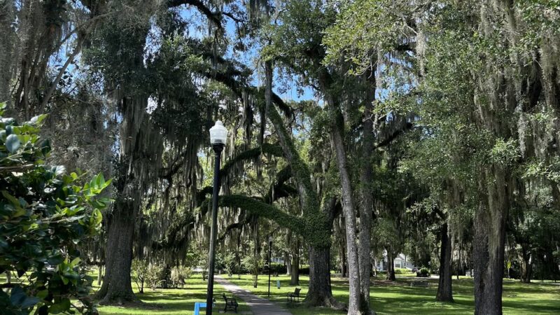 Cortez Park - Jacksonville, FL