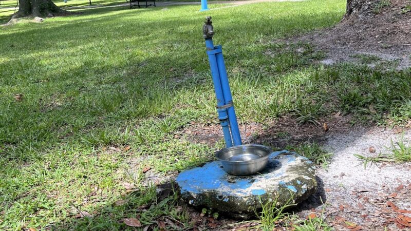 Cortez Park - Jacksonville, FL