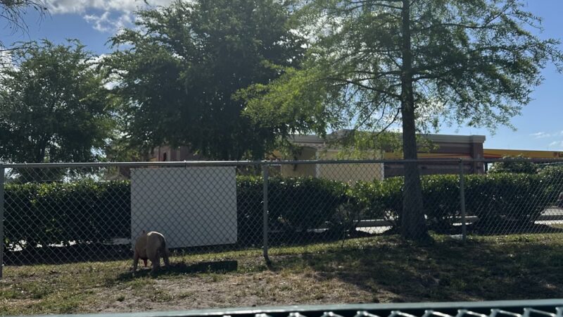Dog Park at Love’s Travel Stops - Jacksonville, FL