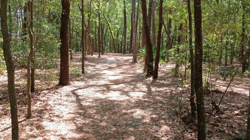 Ed Austin Regional Park - Jacksonville, FL