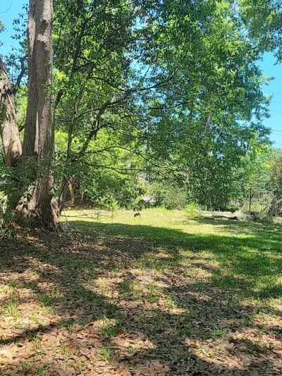 Jammes Road Park - Jacksonville, FL