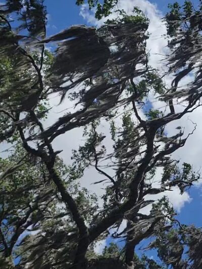 Jammes Road Park - Jacksonville, FL