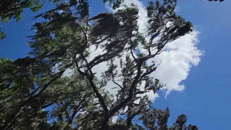Jammes Road Park - Jacksonville, FL