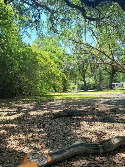 Jammes Road Park - Jacksonville, FL