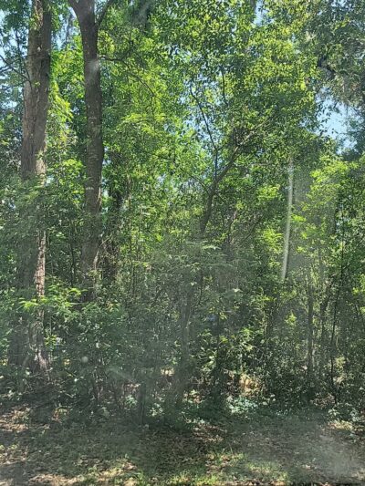 Jammes Road Park - Jacksonville, FL