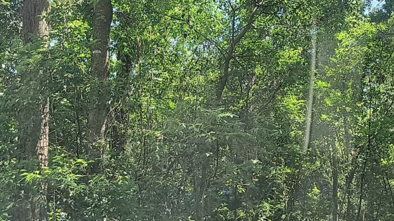 Jammes Road Park - Jacksonville, FL