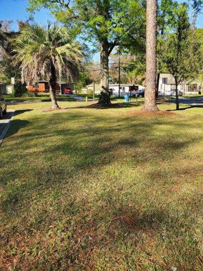 Jasmine Park - Jacksonville, FL