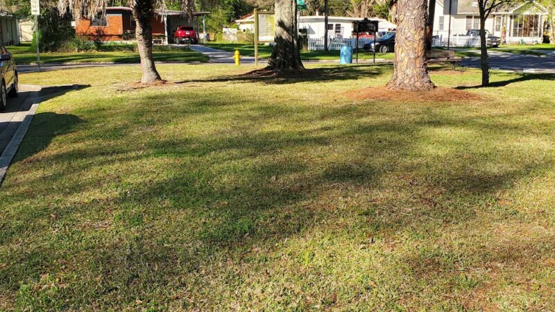 Jasmine Park - Jacksonville, FL