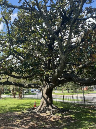 Landon Park - Jacksonville, FL