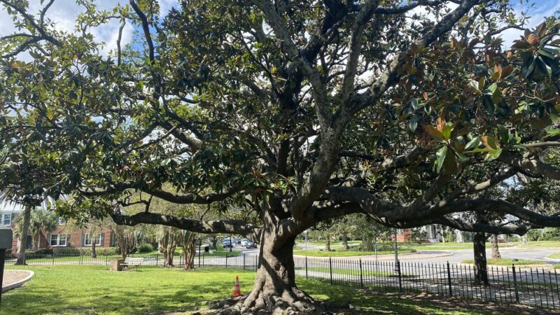 Landon Park - Jacksonville, FL