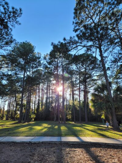 Lovelace Park - Jacksonville, FL