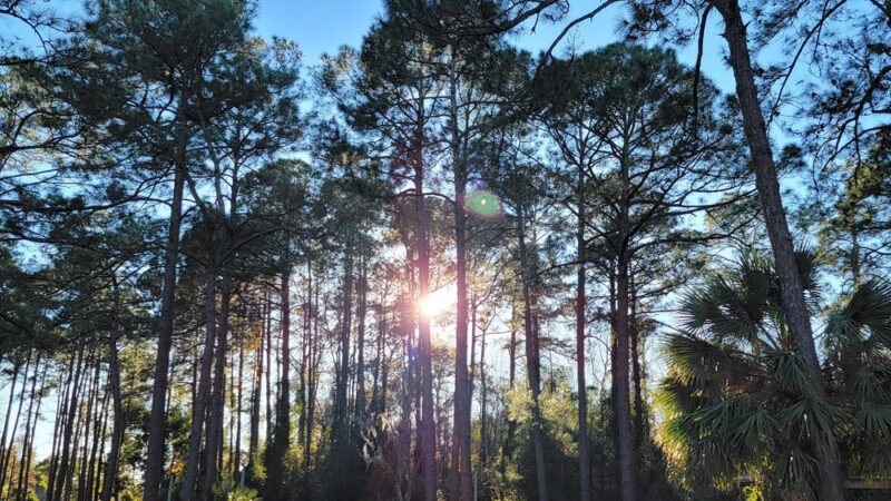 Lovelace Park - Jacksonville, FL