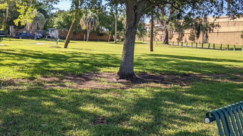 Marjenhoff Park - Jacksonville, FL