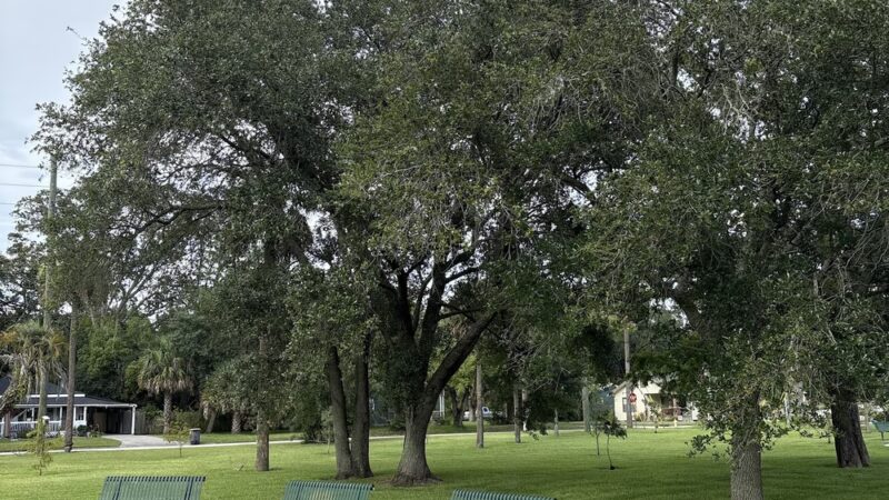 Marjenhoff Park - Jacksonville, FL